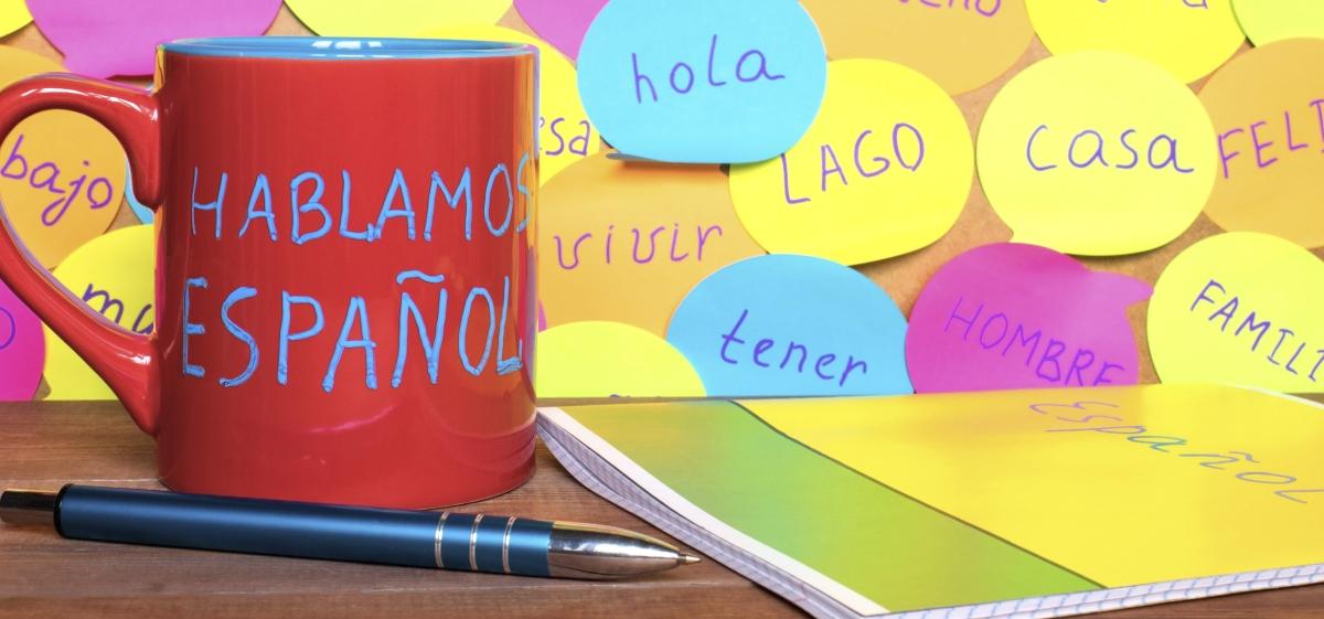 Cómo afrontar la prueba oral del examen DELE B1: características y consejos prácticos.